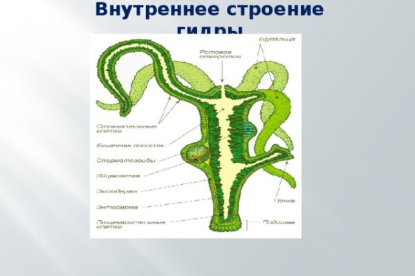 Ссылка на сайт кракен в тор браузере