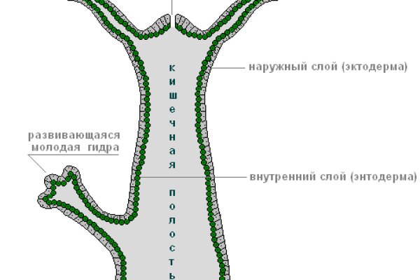 Как зайти на кракен